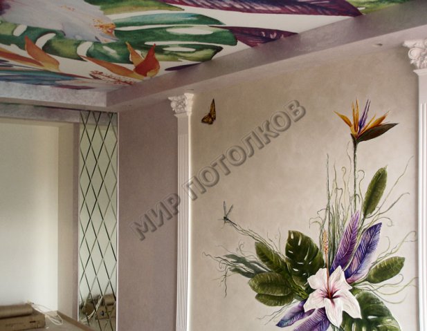 Work from "Mir potolkov"